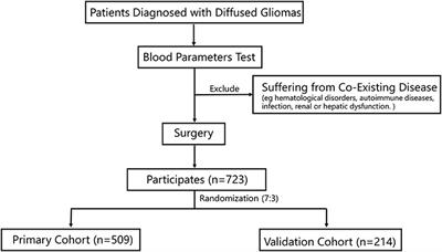 Development and Validation of a Nomogram Model Based on Hematological Indicators for Predicting the Prognosis of Diffused Gliomas